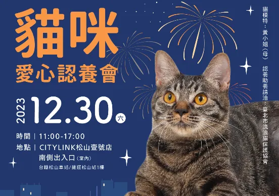 「愛的延續，貓咪送養活動，等你來擁有一個家」